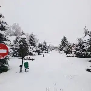 Tihaya Gavan Tourist base - 14