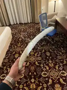 Ani Grand - 37