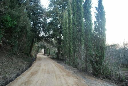 Agriturismo San Vettore - 19