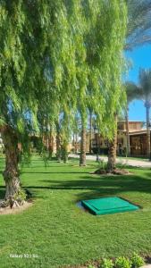 Siva Grand Beach - 14