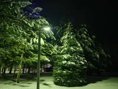 Berezovaya roshcha - 16