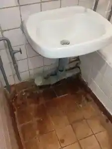 гостиница Omega - 61