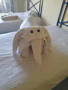 Sun & Sea and Aqua Park - - 13