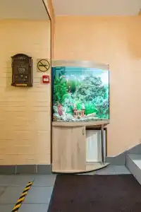 Бутик Евразия - 27