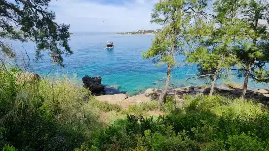 Ozs SUI - All Inclusive - 15