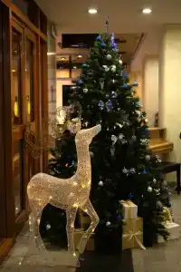 Gostinitsa Volna - 94