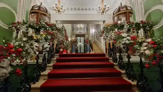 Бутик Дворец Трезини - 11