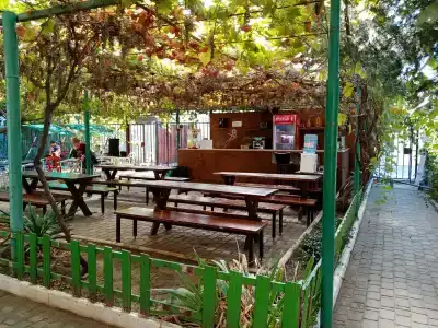 Kurortny Sanvil Primorskiy 2** - 47