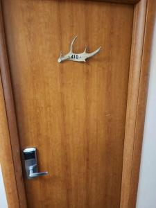 Zapolyarnaya stolica - 72