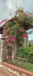 Marti la Perla - Adult Only+16 - 4