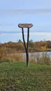 Berezinskaya Dubrava - 48