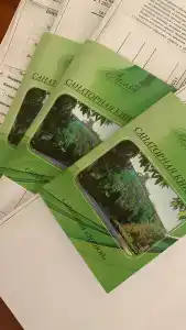 Sanatorii Lesnoi - 37