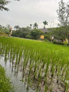 Arya Arkananta Resort and Spa  - 0