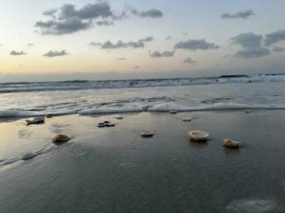 Jumeirah Beach - 74