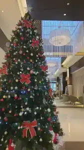 Ibis One Central - 15