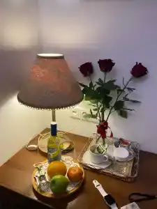 Трезини Арт-отель - 24