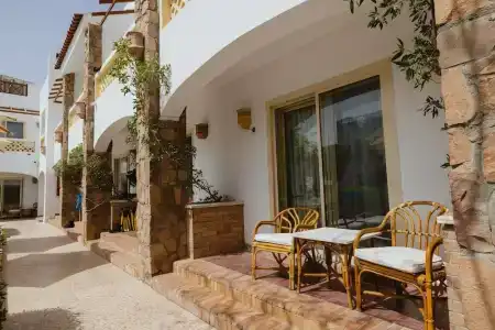 Camel Dive Club & - Boutique - 22