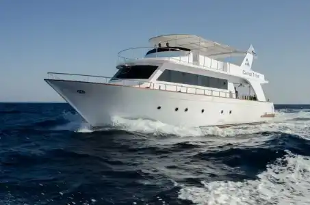 Camel Dive Club & - Boutique - 4