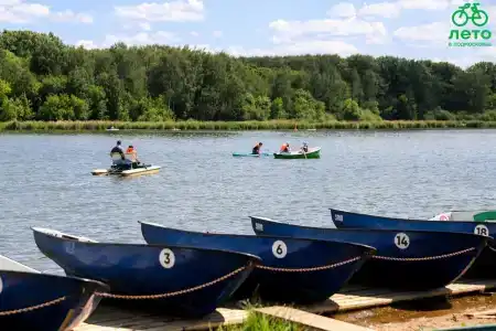 Domiki Recreation Camp - 0