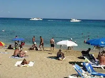 Papouis Protaras ex smartline Protaras - 37