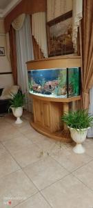 Vizit Guest House - 46