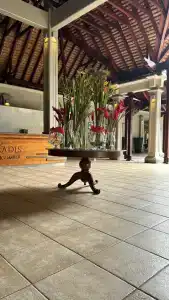 Paradis Beachcomber Golf Resort & Spa - 16