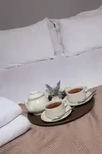 Три Мушкетера - 59