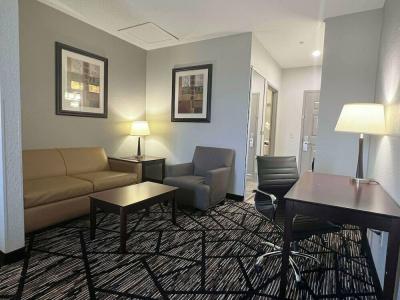 Stay Express Inn & Suites Houston Hobby Airport - 43