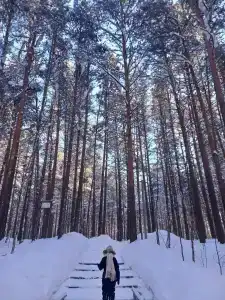 Kedrovyy Log - 24