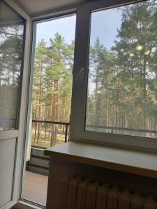 Березина (Минская обл.) - 34