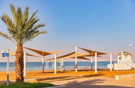 Brown Dead Sea - 23