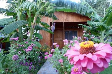 Estelar Bungalow - 7