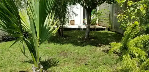 Green Village - 11