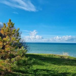 Pansionat Vyisokij Bereg - 48