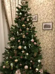 Vasilievskiy Dvor - 6