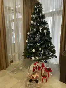 Iceberg Premium - 22