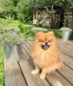 Yakovka57 Tourist base - 32