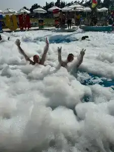 Asteria Bloom Side - 42