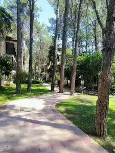 Champion Holiday Village - 5