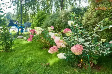 Holiday Inn Express - Khovrino, an IHG - 42