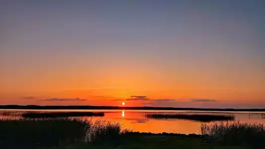 Detskiy Sanatoriy "Rosinka" - 72