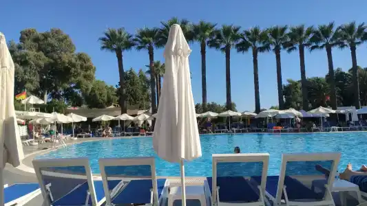 Asteria Collection - 70