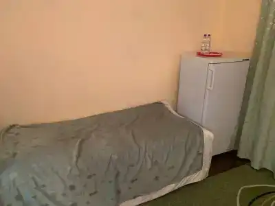 Belovezhskaya pushcha №2 - 51