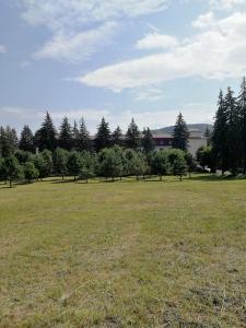 Sanatorium im. S.M. Kirova - 87