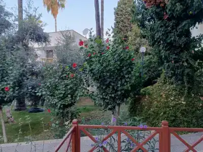 Antik Garden - All Inclusive - 63