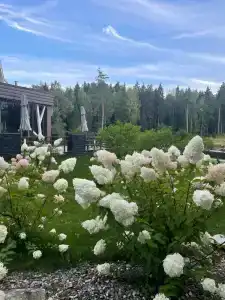 Dobrograd (korpus Village) Glamping - 44