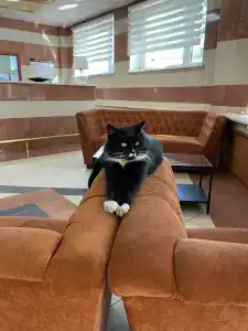 Luch Sports and complex - 5