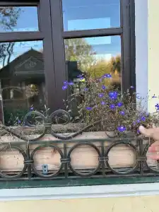 Usadba Pleshanova - 72