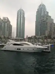 Occidental Sharjah Grand - 55