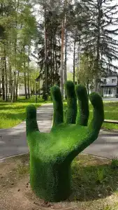 Dom Otdykha Elochki Sanatorium - 55